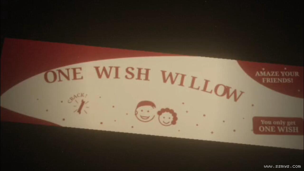 电影痴迷中印有One Wish Willow字样的许愿柳玩具包装